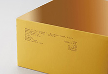 twin nozzle on cardbox